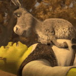 To surf buddy or not to surf buddy