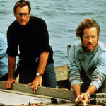 How to avoid surfing with a shark