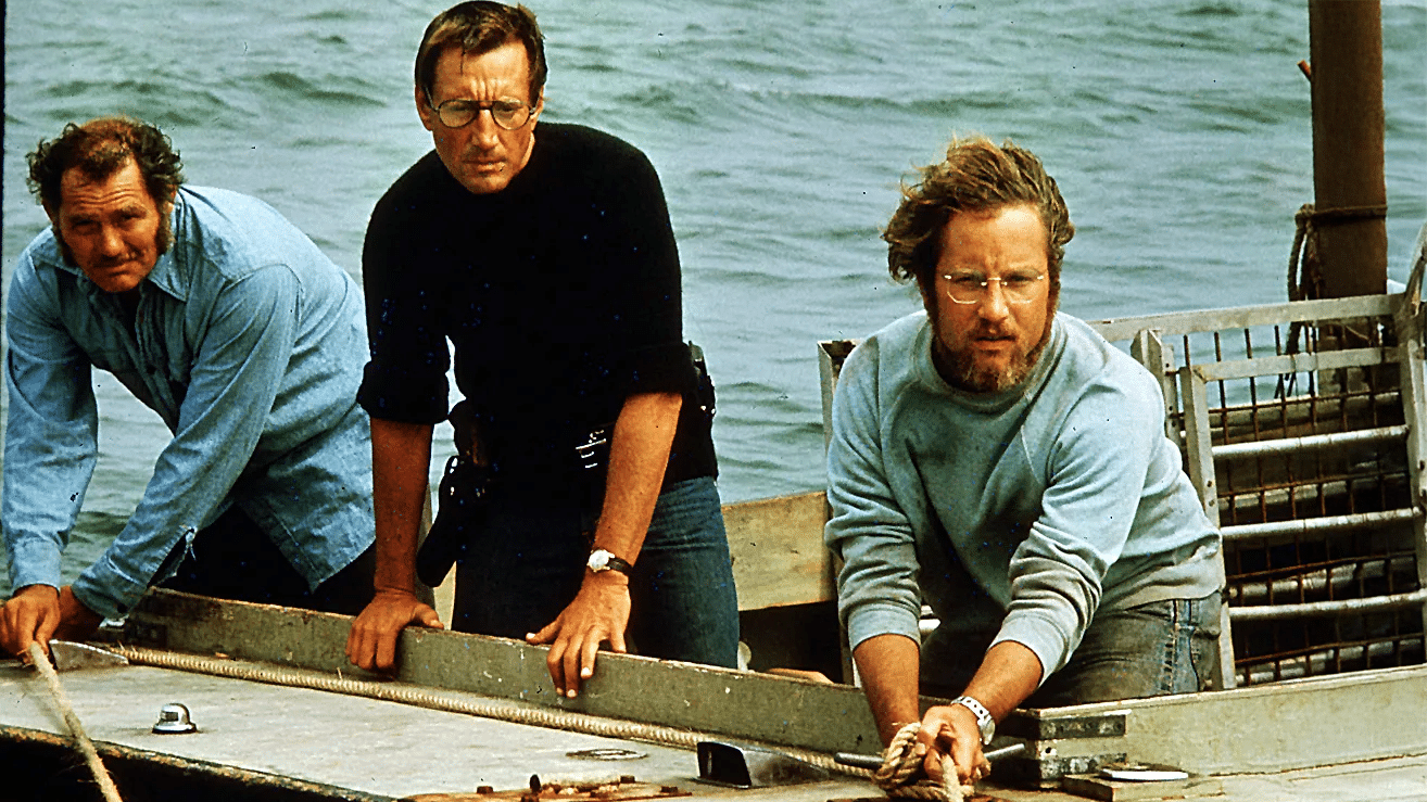 How to avoid surfing with a shark