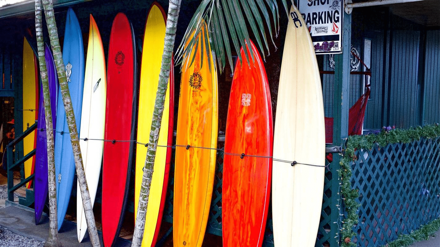 Surfboards 101 rocker