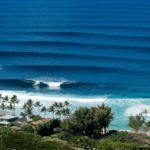 Barbie doesn’t surf Pipeline