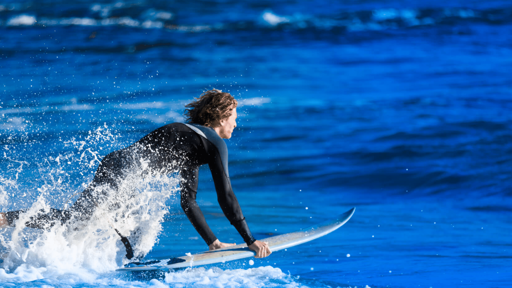 If you think pop-up is overrated, we can't be friends