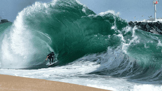 The Wedge