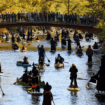 Surfer a-holes. Surfer heroes. Surfboard absconds. China surfs. Witches rule.