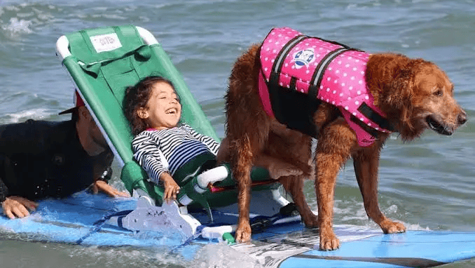 From surf nazis to surf dogs