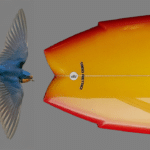 What’s in the tail?