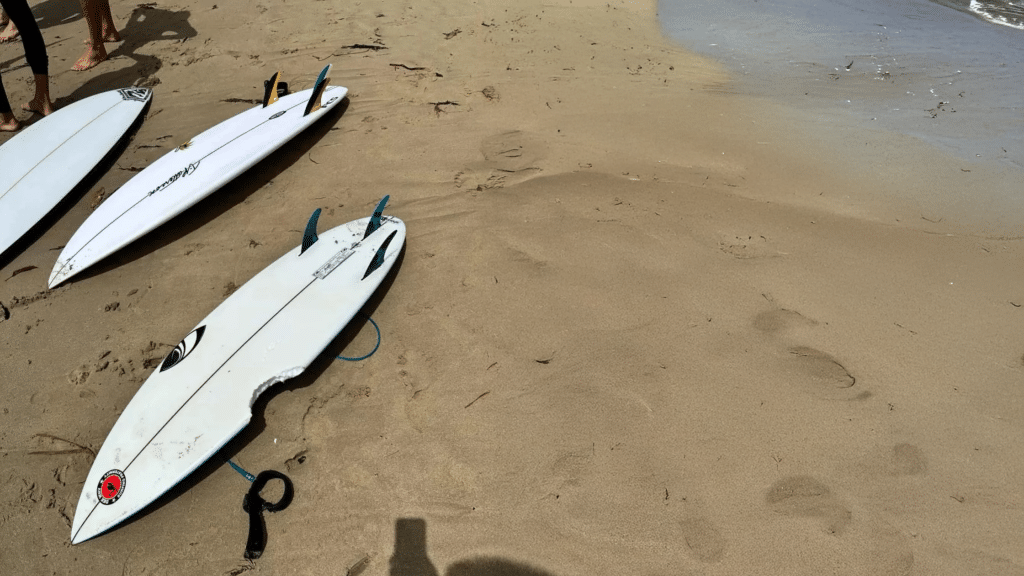 Dee Why shark attack