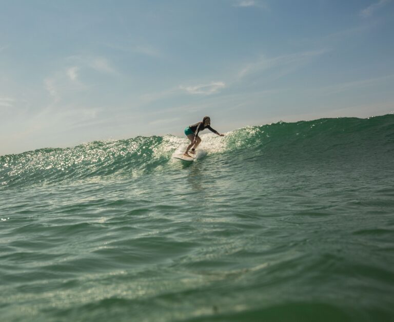 ME SURFING 1 768x628
