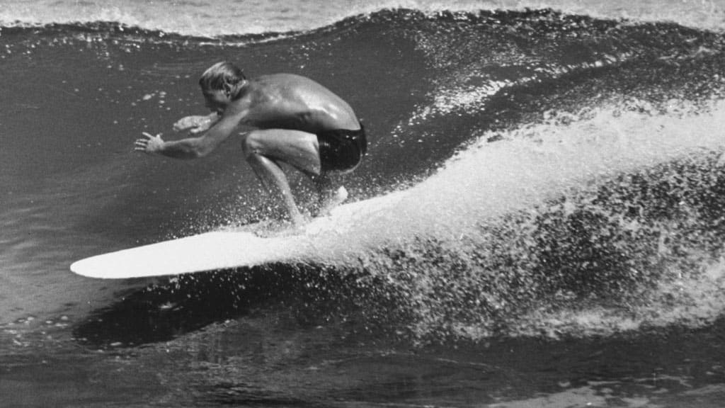 Sunday Surf Poem: The Surfer