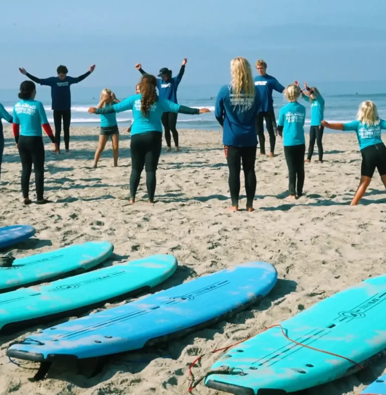 surfinfire 2 768x785