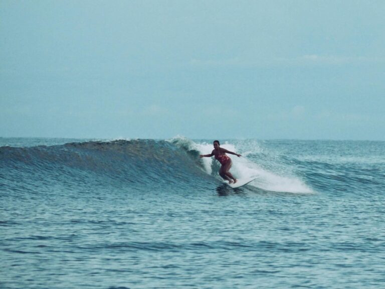 Posh carving 1 768x576