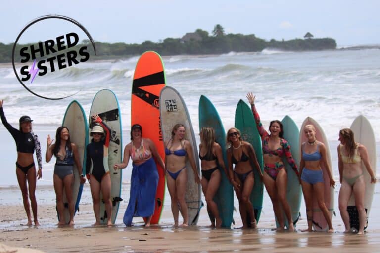 shred sister 768x512